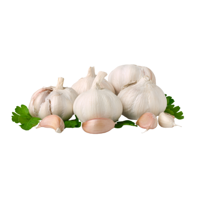 garlic